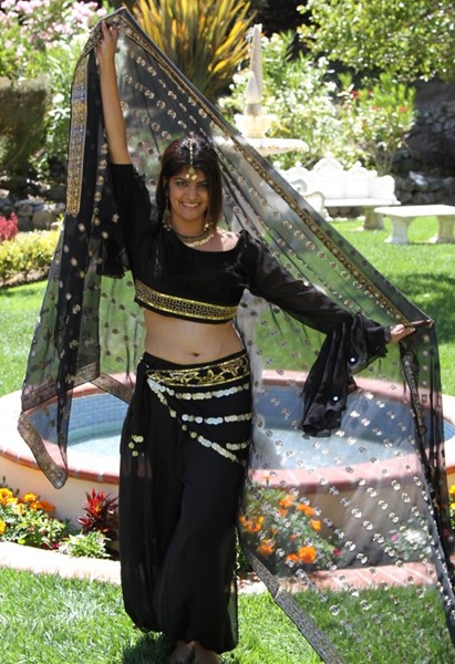 Veil With Metallic Border CS109